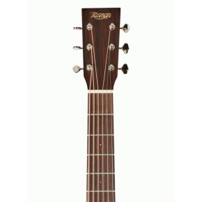Elektroakustická kytara Tasman  TA100-CE NT