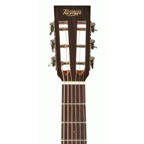 Elektroakustická kytara Tasman  TA100P-E TSB