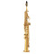 Saxofon sopránový Yamaha  YSS 875EXHGGP