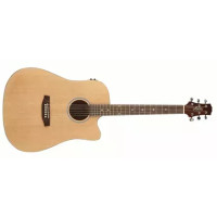 Ashton D20CEQ NT - kosmetické vady