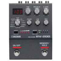 Boss RV-200
