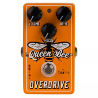 Caline Queen Bee Overdrive