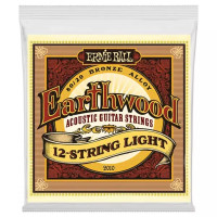 Ernie Ball 2010