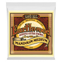 Ernie Ball 2065