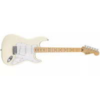 Fender Standard Stratocaster MN WPG OWT