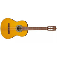 Ibanez GA3 OAM