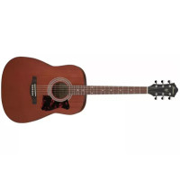 Ibanez V 50NJP OPN