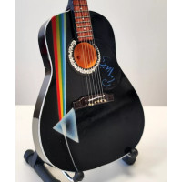 PPT-MK097 Pink Floyd The Dark Side of the Moon Acoustic