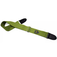 P&P Music AGSP-200 Green