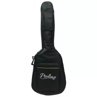 Proline 5 elektrická kytara