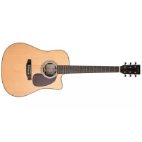 Sigma Guitars DRC-1HSTE