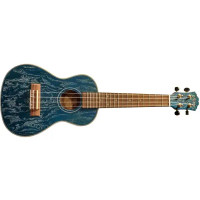 Ukulele koncertní FZone  FZU-022C BL Ash