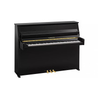 Yamaha B10 PE - prodloužená záruka 5 let