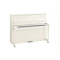 Yamaha B20 PWHC - prodloužená záruka 5 let