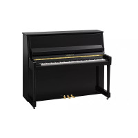 Yamaha B30 PE - prodloužená záruka 5 let