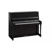 Yamaha B30 PEC - prodloužená záruka 5 let