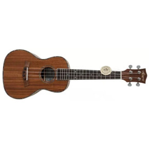 Aiersi SU074P