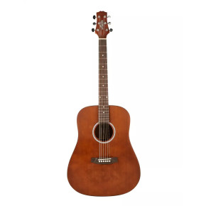 Ashton D20 MS Ashton D20 MS