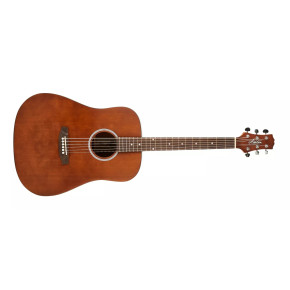 Ashton D20 MS Ashton D20 MS