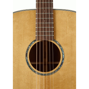 Akustická kytara Tasman  TA100 NT