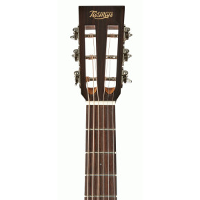 Akustická kytara Tasman  TA100P NT