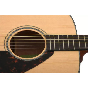 Yamaha FG 800 NT - prodloužená záruka 3 roky Yamaha FG 800 NT - prodloužená záruka 3 roky