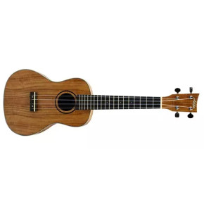 Ashton UKE 500C ACA - Maketa Ashton UKE 500C ACA - Maketa