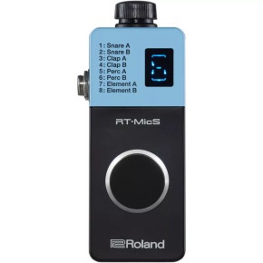 Roland RT-MICS