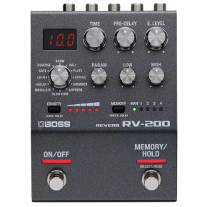 Boss RV-200