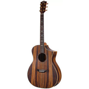 Bromo Guitars BAR4GCE