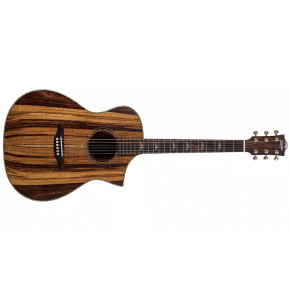 Bromo Guitars BAR4GCE