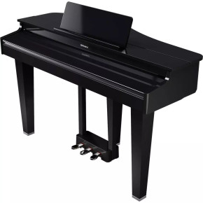 Roland GP-3-PE Roland GP-3-PE