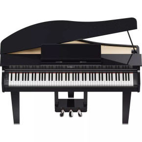 Roland GP-3-PE Roland GP-3-PE