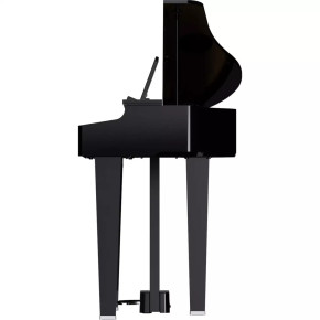 Roland GP-3-PE Roland GP-3-PE