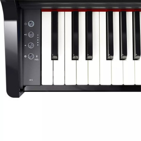 Roland GP-3-PE Roland GP-3-PE