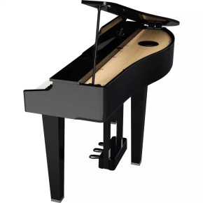 Roland GP-3-PE Roland GP-3-PE