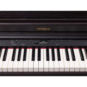 Roland RP RP701-DR