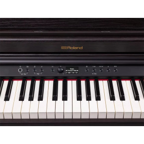 Roland RP RP701-DR