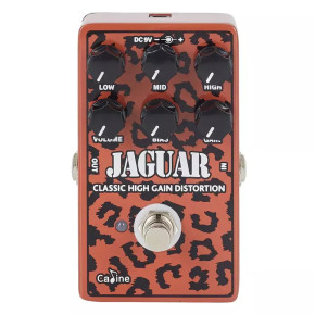 Caline Jaguar Distortion