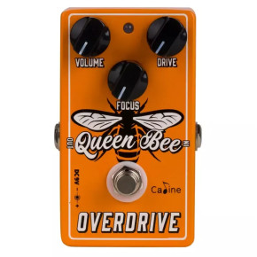 Caline Queen Bee Overdrive