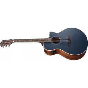 Ibanez AE100DBF