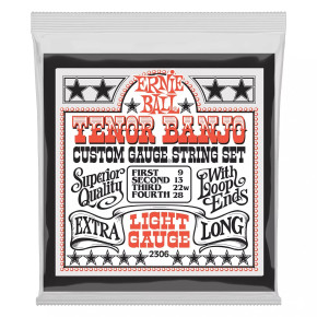 Ernie Ball 2306 Ernie Ball 2306