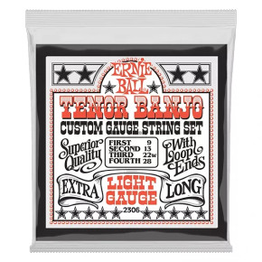 Ernie Ball 2306