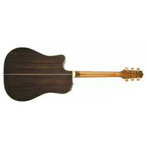 Takamine TAN 15C