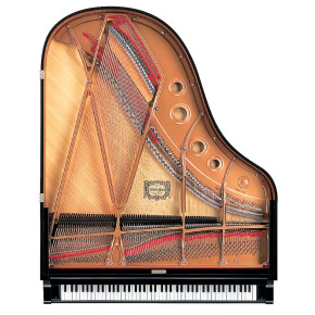 Yamaha C3X TA3 SAW - prodloužená záruka 5 let