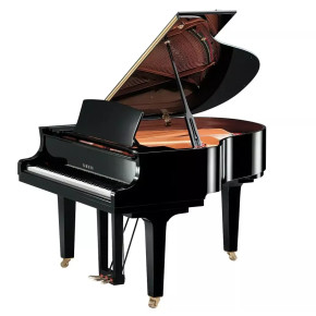 Yamaha C1X PE - prodloužená záruka 5 let Yamaha C1X PE - prodloužená záruka 5 let
