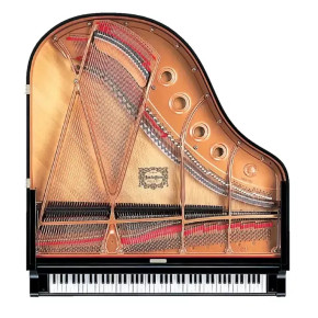 Yamaha C1X PE - prodloužená záruka 5 let Yamaha C1X PE - prodloužená záruka 5 let