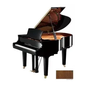 Yamaha C1X SAW - prodloužená záruka 5 let