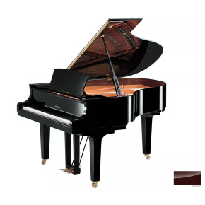 Yamaha C2X PM - prodloužená záruka 5 let Yamaha C2X PM - prodloužená záruka 5 let