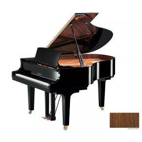 Yamaha C2X SAW - prodloužená záruka 5 let Yamaha C2X SAW - prodloužená záruka 5 let